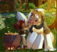 forest picnic forest picnic
